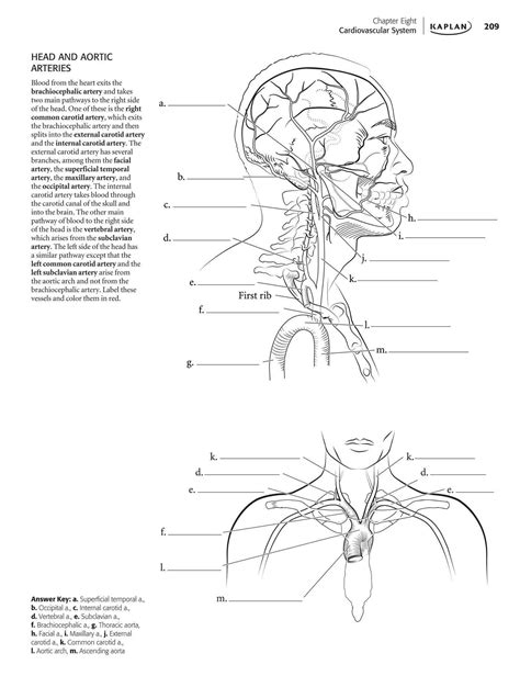 Horse Anatomy Coloring Book Pdf - kidsworksheetfun