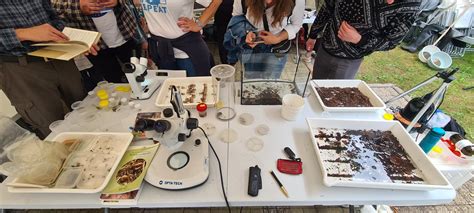 BioBlitz "Ocean of Change" - Biodiversity Genomics Europe