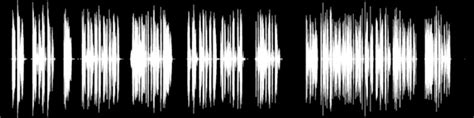 Перри Энн - Томас Питт 14, Палач из Гайд-парка : Free Download, Borrow ...