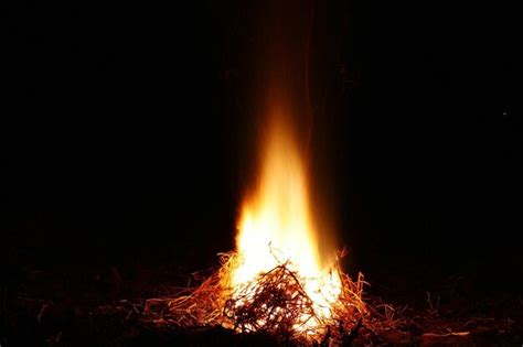 Premium Photo Close Up Of Bonfire In Forest At Night