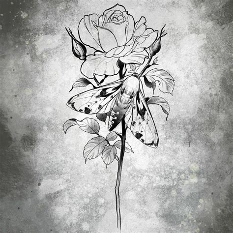 A Black And White Drawing Of A Rose With Moths On It S Petals In Front