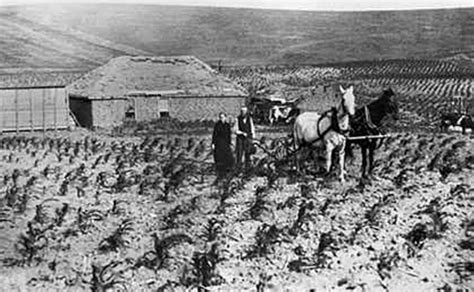 Native American Farming