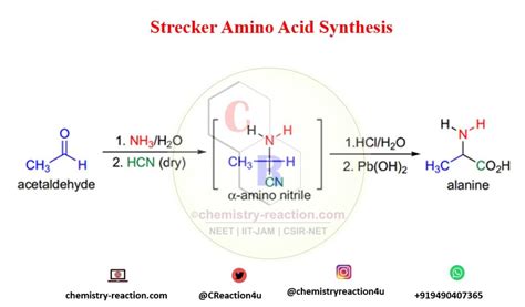 Strecker Reaction :Synthesis of Amino Acids| Mechanism