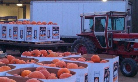 Fall Harvest Pahl S Market Apple Valley Mn