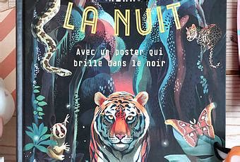 Les Animaux De La Nuit