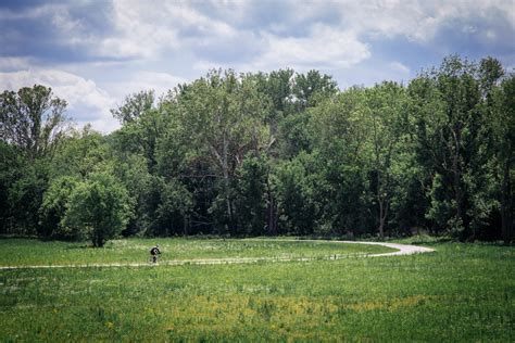 Fotos Gratis Hombre Paisaje árbol Naturaleza Bosque Camino