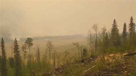 Why Holdover Or Zombie Wildfires Are A Bigger Problem For B C This Year Cbc News