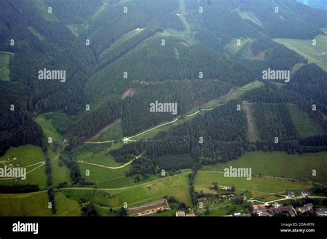 monoculture cultivation in the forest, lack of biodiversity as a threat ...