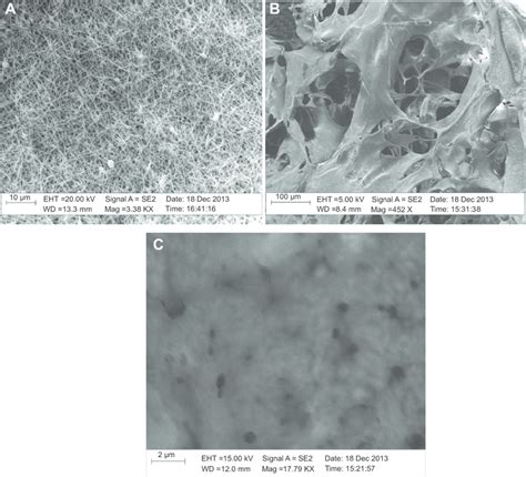 Sem Images Of Sf Scaffolds Electrospun Nanofibrous Scaffold A