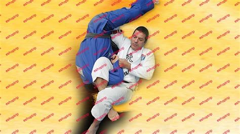 Brazilian Jiu Jitsu Techniques Vol. 3 – Sweeps and Reversals – Eshoptrip