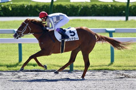 武豊騎手 今週の騎乗馬新馬圧勝のフェデラーが2戦目 競馬ニュースなら競馬のおはなし