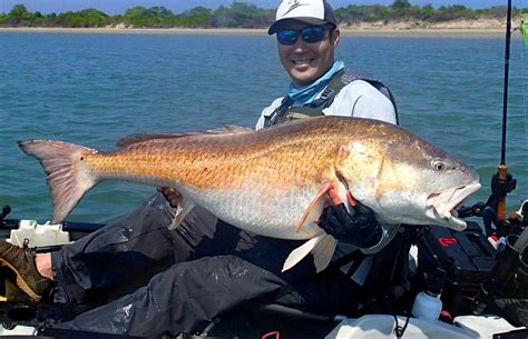 World Record Black Drum