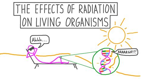 Radiation Effects On Environment