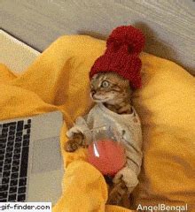 Cat Relax GIF - Cat Relax Chill - Discover & Share GIFs