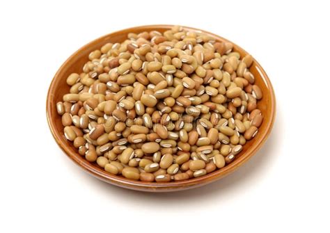White Adzuki Bean Stock Photo Image Of Adzuki Healthy 172449398