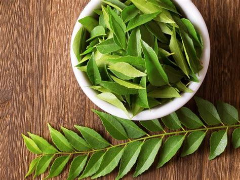 What Is Curry Leaves And How To Use It Krazy Butterfly