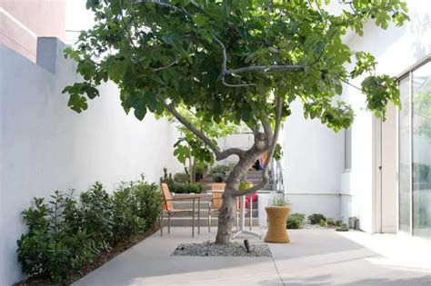 9 Stylish Patios And Small Garden Areas For Shade Solutions