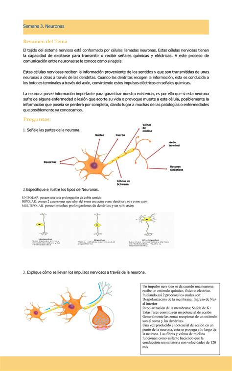 Cuaderno de prácticas Bases Biológicas del Comportamiento 3 y 4