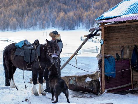 Tsagaannuur, Mongolia: All You Must Know Before You Go (2024) - Tripadvisor