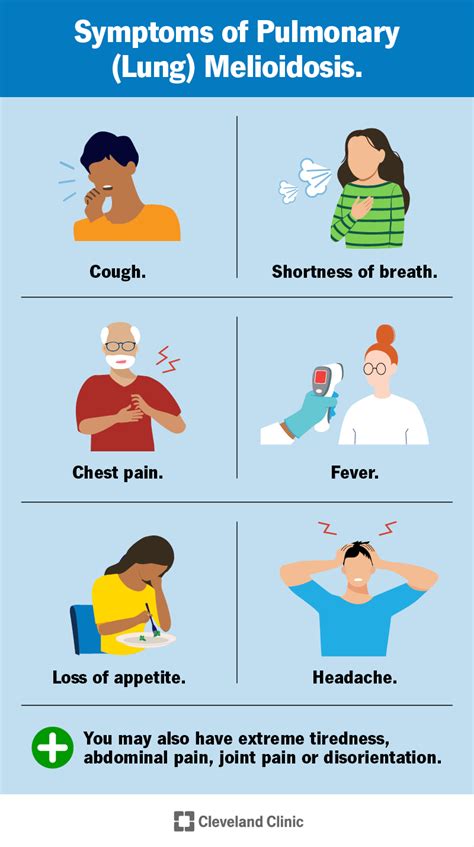 Melioidosis: Causes, Symptoms, Transmission & Treatment