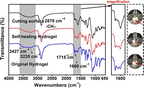 ATR FTIR Spectra Of Three Different Kinds Of Lyophilized Hydrogels