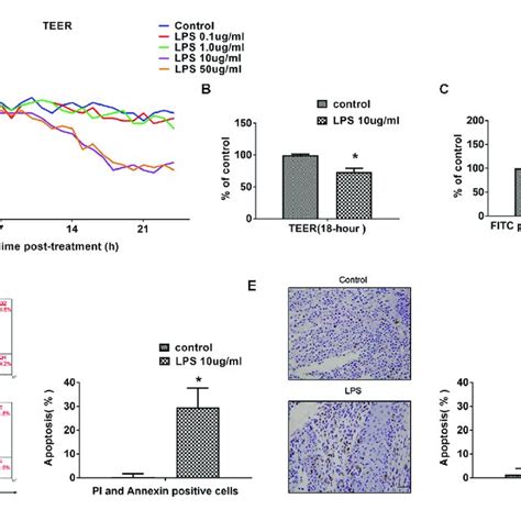 Lps Induces Human Cerebral Microvascular Endothelial Cell Line Download Scientific Diagram