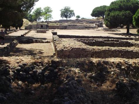 Musée Archéologique Daléria Aleria 2021 Ce Quil Faut Savoir Pour