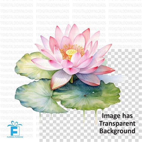 Lotus Flower Png Lotus Flower On Lilypad Clipart Watercolor Etsy