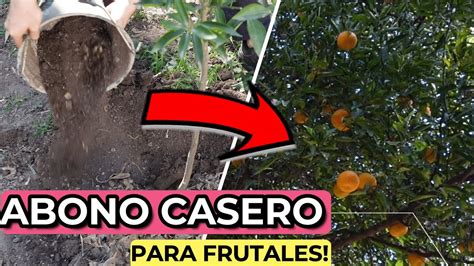 Abono Casero Para Crecimiento De Rboles Frutales Y Den M S Fruta