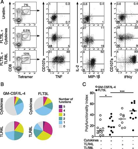 Priming Of Qualitatively Superior Human Effector Cd8 T Cells Using