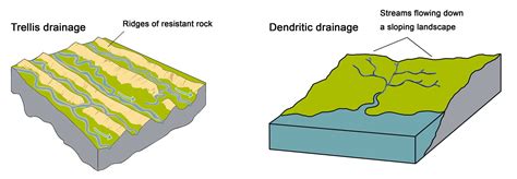 Coastal Plains Diagram