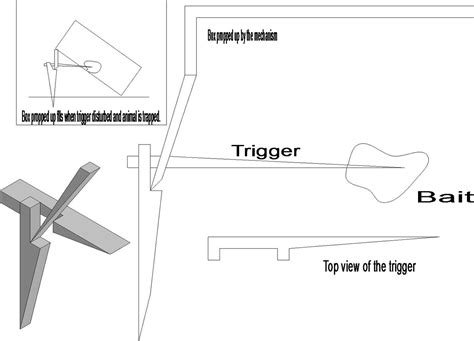 Making A Really Simple Rabbit Trap 6 Steps Instructables