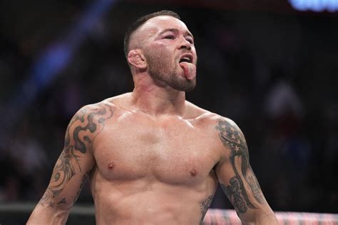 Colby Covington Lobbies For Superfight With Sheep Herder Islam