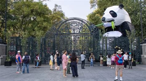 Estafan A Luisito Comunica En Chapultepec Al Youtuber Le Cobraron