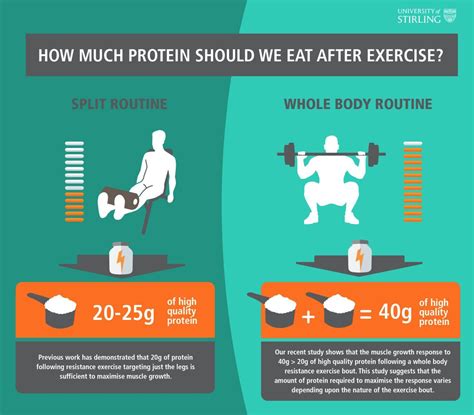 How Much Protein To Gain Mass Massgainerreview