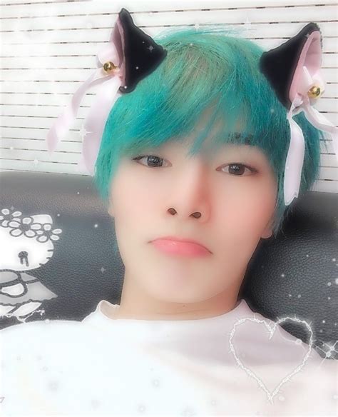 Jeongin Pop Cat Catboy Cat Girl