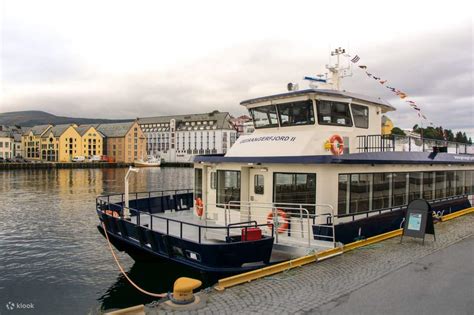 Fjord Sightseeing Cruise between Alesund and Geiranger - Klook