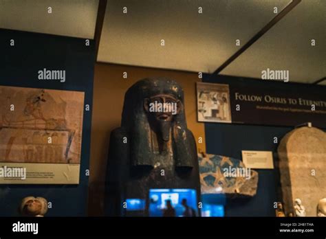 Mummy Sarcophagus in Natural History Smithsonian Stock Photo - Alamy