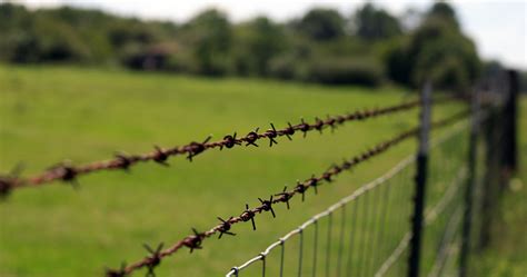 Barb Wire Fence Building Guide