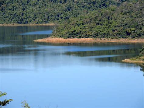 A Exuber Ncia Do Parque Estadual Do Rio Doce Conhe A Minas