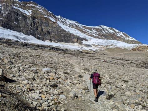 Iceline Trail Yoho National Park Complete Hiking Guide