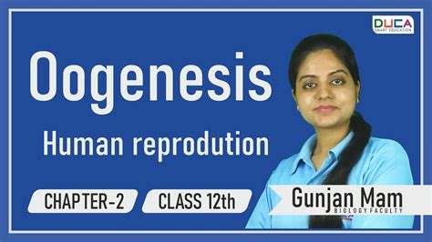 Oogenesis Human Reproduction Class 12th Chapter 2 DUCA INDIA