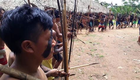 Notícias Morte Fome E Destruição Conflito Histórico Dos Yanomami