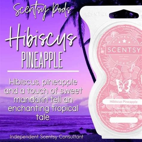 Pin By Debbie Boyd On Scentsy Scentsy Consultant Ideas Scentsy