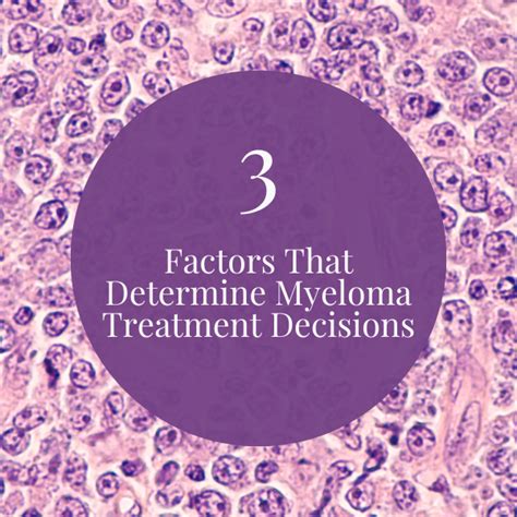 Three Factors That Determine Myeloma Treatment Decisions Patient