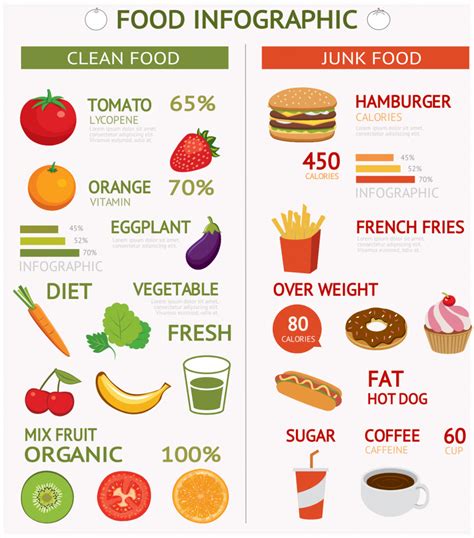 30+ Food Infographics You Can Edit and Download