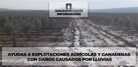 AYUDAS A EXPLOTACIONES AGRÍCOLAS Y GANADERAS CON DAÑOS CAUSADOS POR LLUVIAS