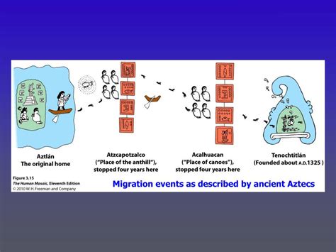 Ppt The Human Mosaic Chapter Three Powerpoint Presentation Free Download Id 3657033