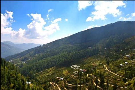 Places To Visit In Chail Himachal Pradesh Chail Tourism Things To