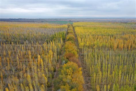 34 Mln Hectares Of Farmland Turned Into Forest Grassland Cgtn